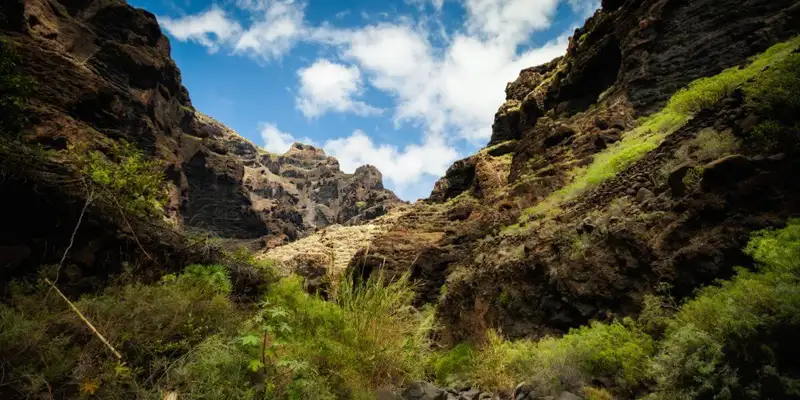 Die Highlights Teneriffas erwandern - Bild 2