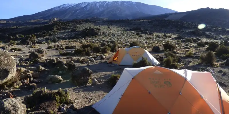 Kilimanjaro: Lemosho-Route (Northern Circuit)  - Bild 2