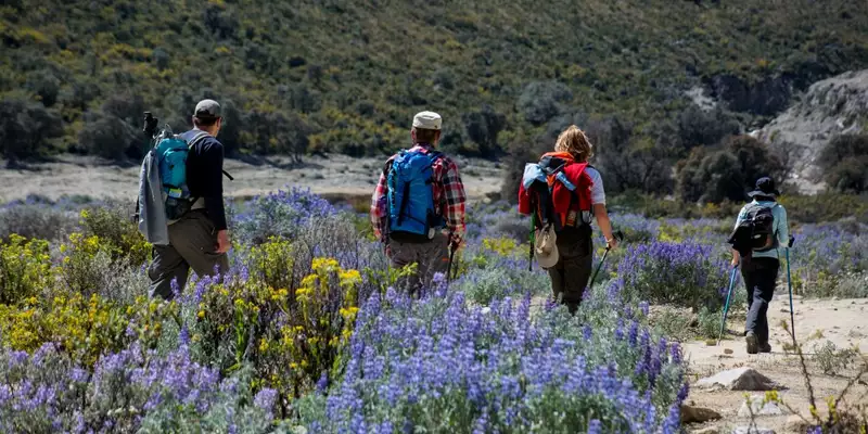 Trekkingreise Peru: Verborgene Schätze entlang des neuen Inka Trails - Bild 7