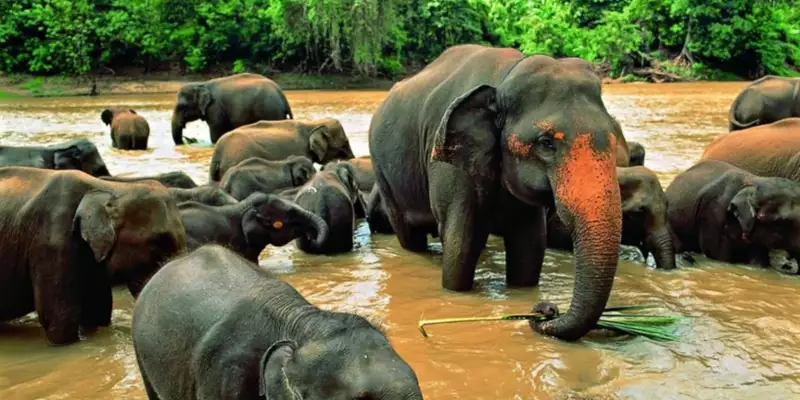 Sri Lankas Highlights erwandern - Bild 10