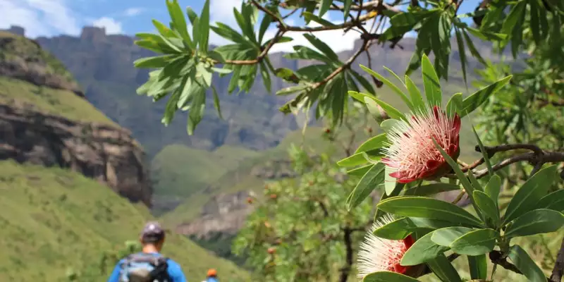 Südafrika - Afrikas Wildnis im Nordosten hautnah erleben - Bild 23