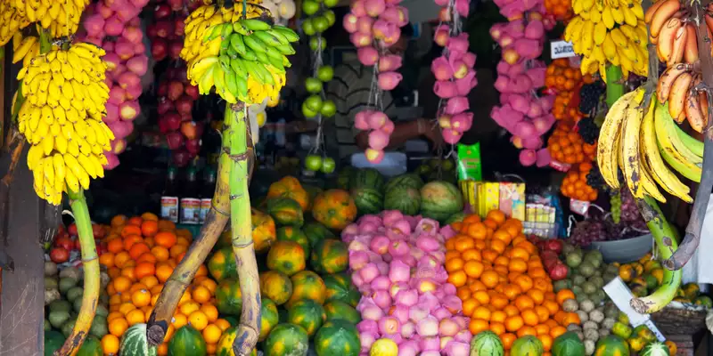 Sri Lankas Highlights erleben – Aktivreise durch Kultur und Natur - Bild 10