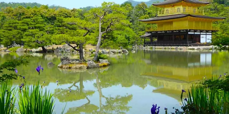 Japan: Kirschblüte oder Herbstlaub zaubern Farbenwunder - Bild 17
