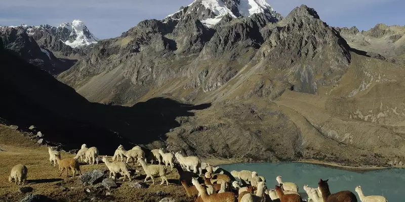 Durchquerung Perus von West nach Ost – von den Anden bis zum Amazonas - Bild 7