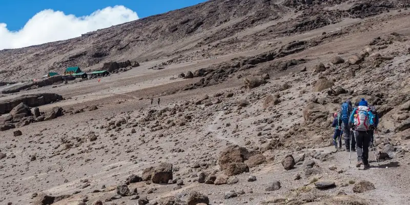 Kilimanjaro: Lemosho-Route (Northern Circuit)  - Bild 4