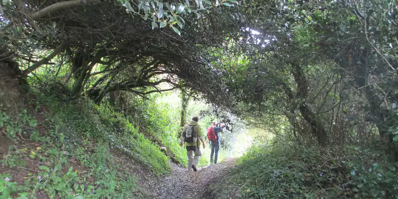 Der Great Glen Way - Schottland wie aus dem Bilderbuch - Bild 3
