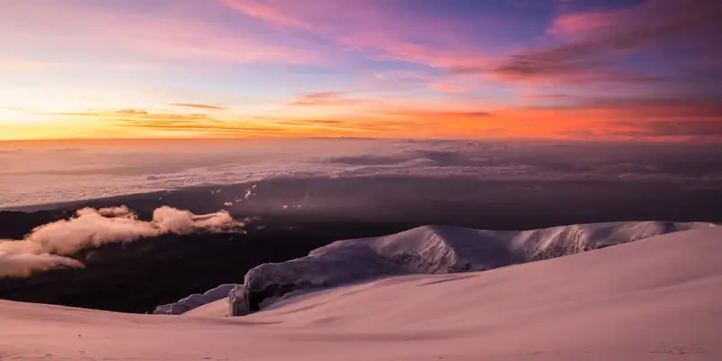 Kilimanjaro: Lemosho-Route (Northern Circuit)  - Bild 1