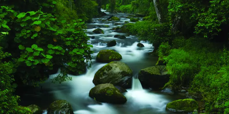 Costa Rica naturnah erwandern - Bild 9