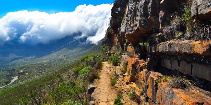 Südafrika - die Highlights der Kapregion entdecken - Bild 15