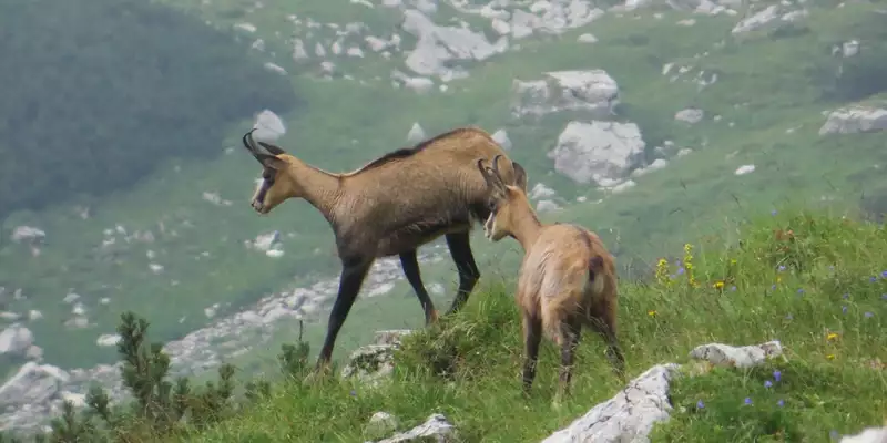 Allgäu Durchquerung - Bild 17