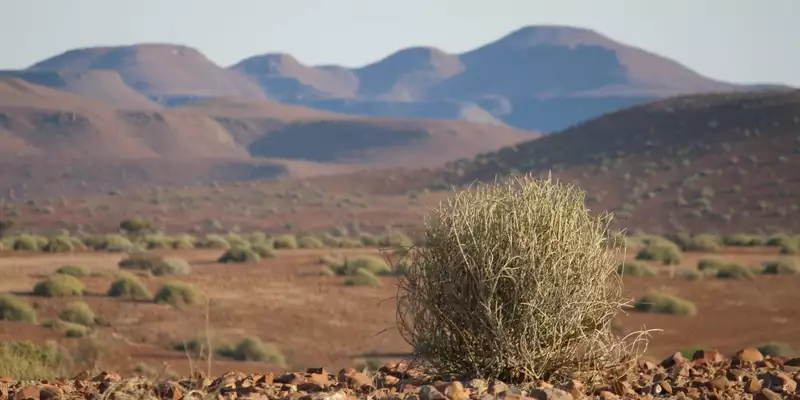 Namibias Naturwunder: Farbenpracht und grenzenlose Weite - Bild 13