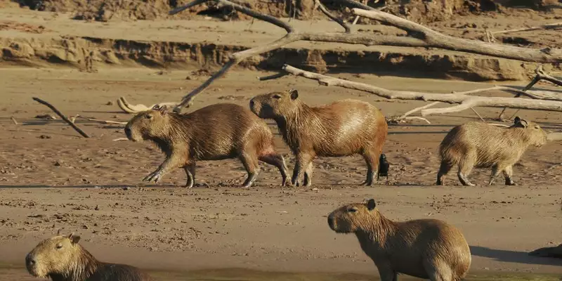 Durchquerung Perus von West nach Ost – von den Anden bis zum Amazonas - Bild 10