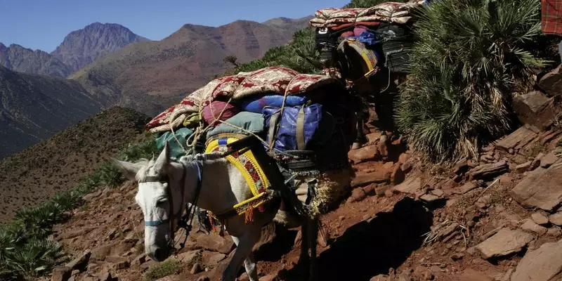 Marokko - Viertausender des Hohen Atlas - Bild 4