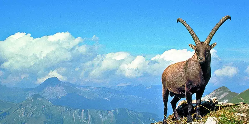 Unterwegs auf dem Heilbronner Höhenweg - Bild 1