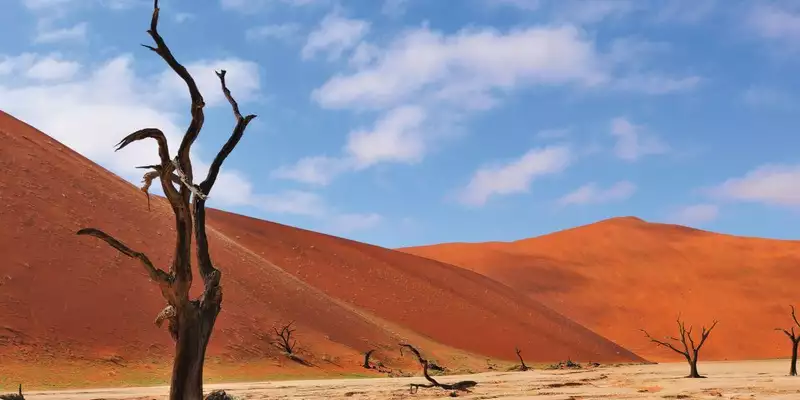 Namibias Highlights erleben - Bild 3