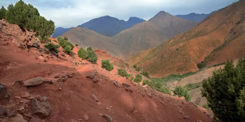 Marokko - Viertausender des Hohen Atlas - Bild 16