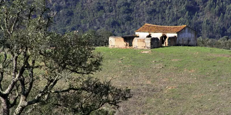 Entlang der Atlantikküste Portugals: Wilde Schönheit und bunte Hafenstädtchen - Bild 12