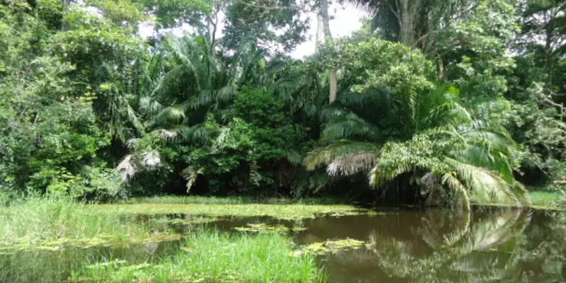 Costa Rica naturnah erwandern - Bild 5