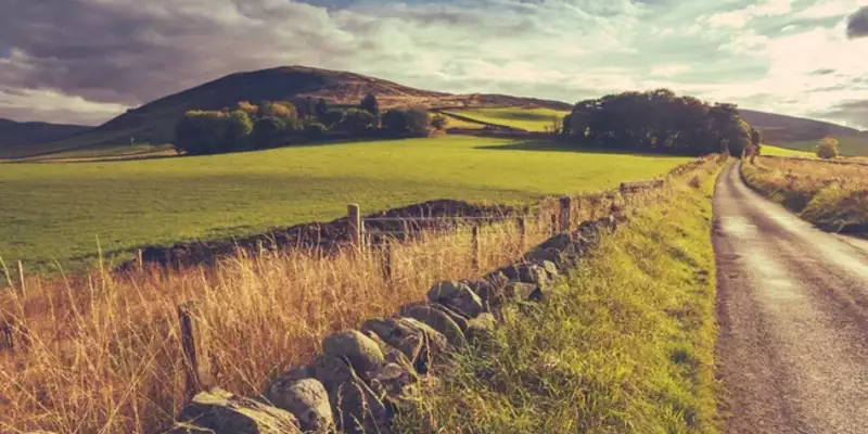 Irland individuell- In 8 Tagen entlang des Wicklow Ways - Bild 1