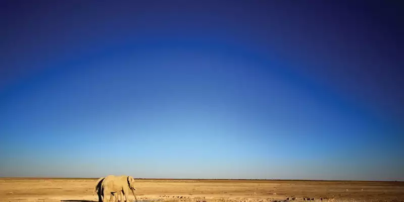 Namibias Highlights erleben - Bild 10