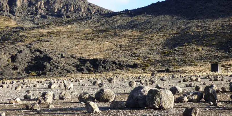 Kilimanjaro: Lemosho-Route (Northern Circuit)  - Bild 16