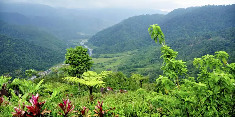 Costa Rica - Entdeckungsreise zu unberührten Nationalparks und lebendiger Kultur - Bild 14