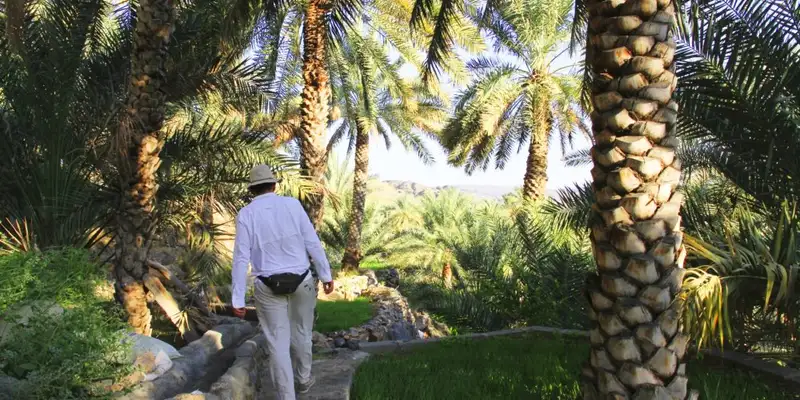 Oman – Berge, Wüste, Fjordlandschaften - Bild 23