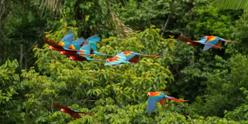 Perus Highlights erwandern - Bild 5