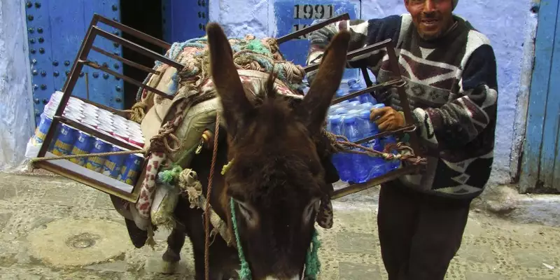 Marokko - Der wilde Norden und das Erbe von Al-Andalus - Bild 18