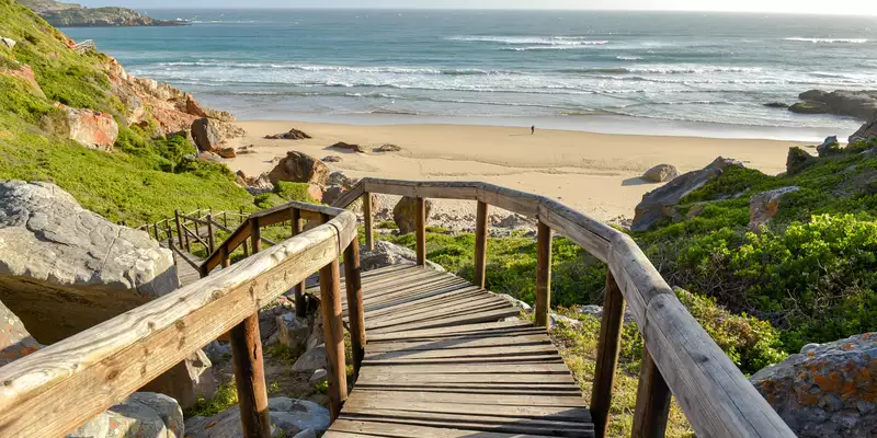 Südafrikas Highlights entdecken - Bild 14