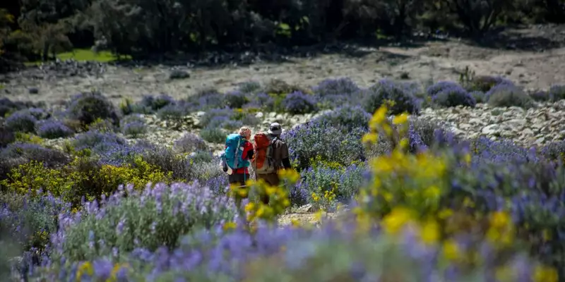 Trekkingreise Peru: Verborgene Schätze entlang des neuen Inka Trails - Bild 5
