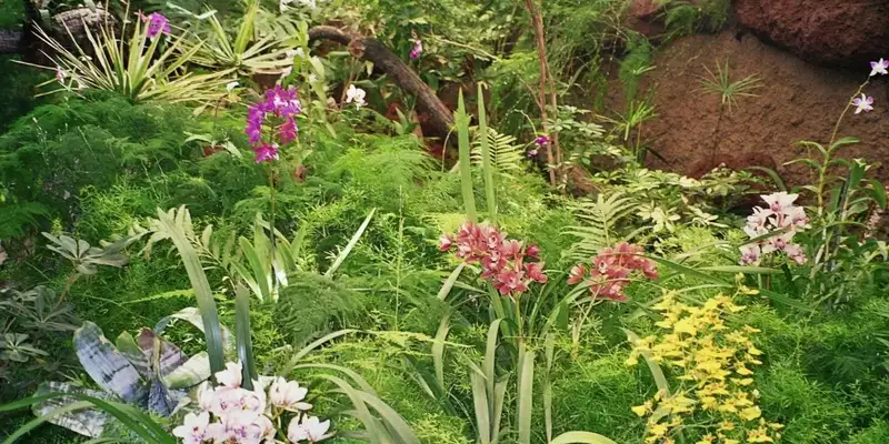 Die Highlights Gran Canarias erwandern - Bild 9