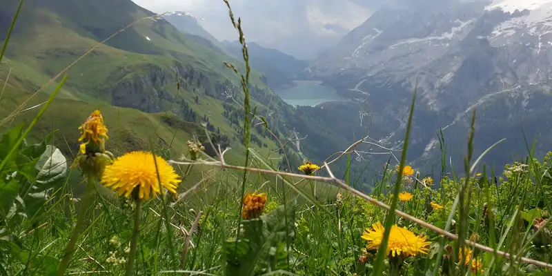Individuelle Wanderwoche entlang des Dolomitenhöhenwegs Nr. 1 - Bild 9