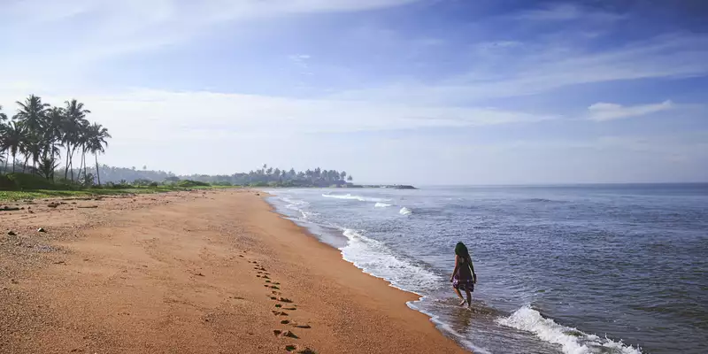 Sri Lankas Highlights erleben – Aktivreise durch Kultur und Natur - Bild 11