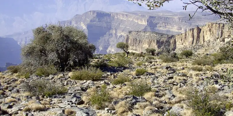 Oman - Ein Duft von 1001 Nacht im 21. Jahrhundert - Bild 18