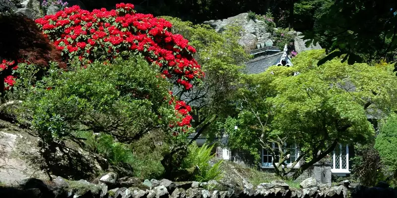 Individuelle Trekkingreise Irland - Kerry Way - Bild 6