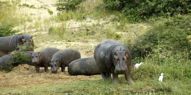 Südafrika - Afrikas Wildnis im Nordosten hautnah erleben - Bild 15