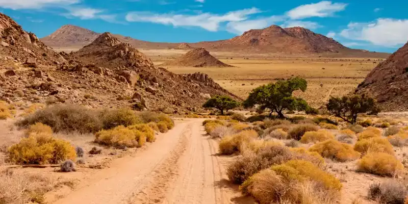 Namibia - die Wunderwelt der Wüsten - Bild 10