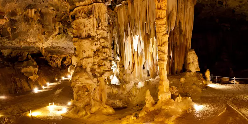 Südafrika - die Highlights der Kapregion entdecken - Bild 9