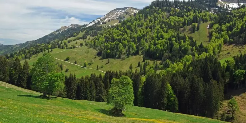 Wandern im Naturpark Nagelfluhkette - Bild 10