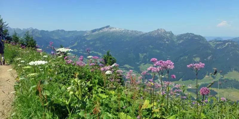 Allgäu Durchquerung - Bild 10