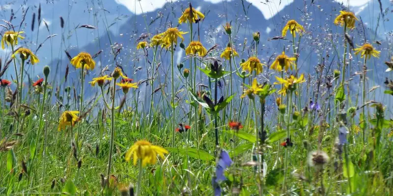 Unterwegs auf dem Heilbronner Höhenweg - Bild 6