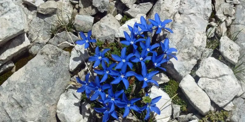 Individuelle Alpenüberquerung vom Tegernsee nach Sterzing  - Bild 13