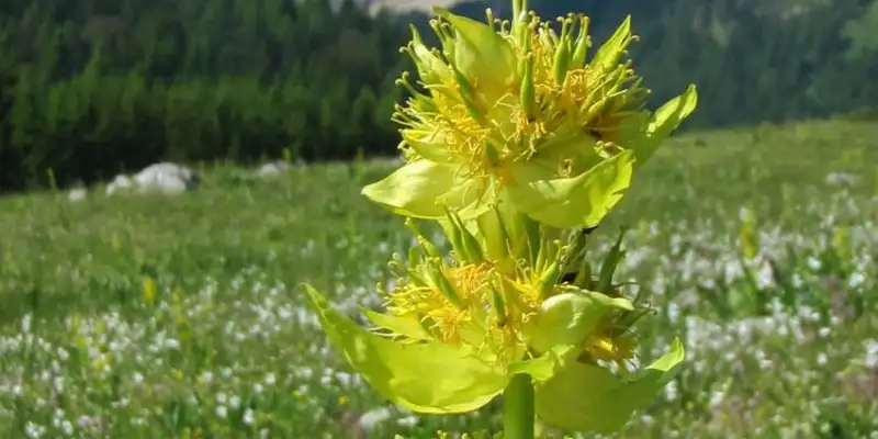 Individuelle Alpenüberquerung vom Tegernsee nach Sterzing  - Bild 16
