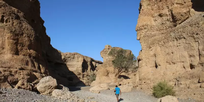 Namibias Naturwunder: Farbenpracht und grenzenlose Weite - Bild 15