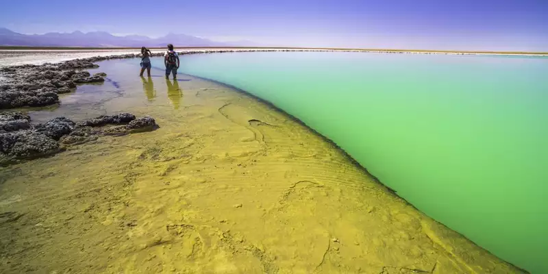 Chile - Das Land der Kontraste von Nord nach Süd - Bild 13
