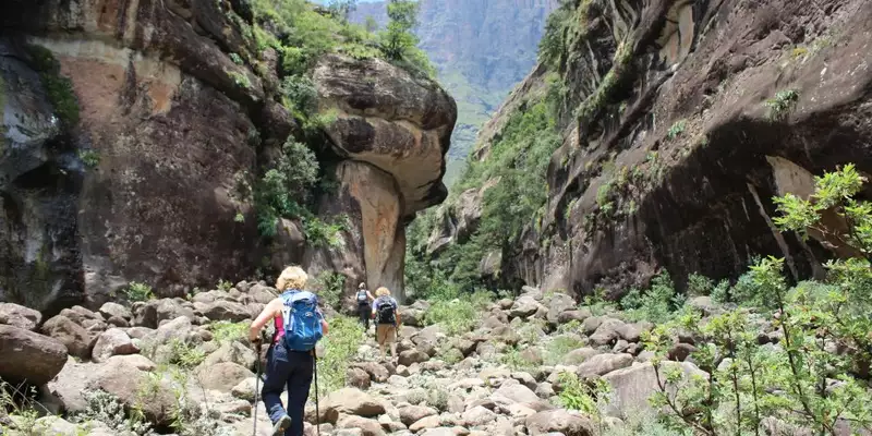 Südafrika - Afrikas Wildnis im Nordosten hautnah erleben - Bild 18