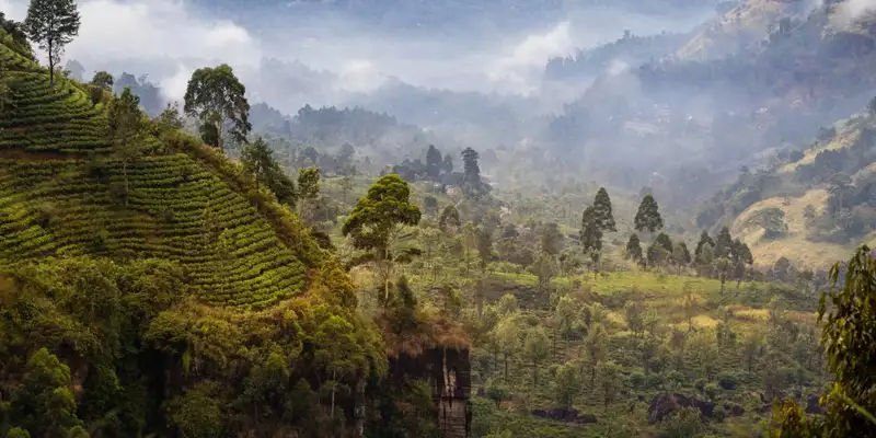 Magisches Sri Lanka - Eine Reise durch Geschichte, Natur und Kultur - Bild 7