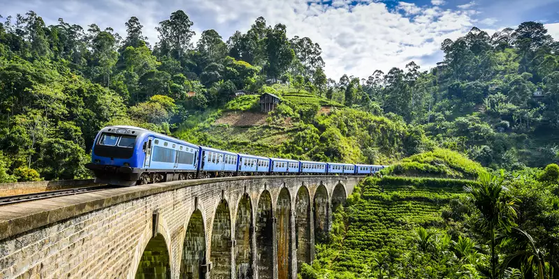 Sri Lankas Highlights erleben – Aktivreise durch Kultur und Natur - Bild 15