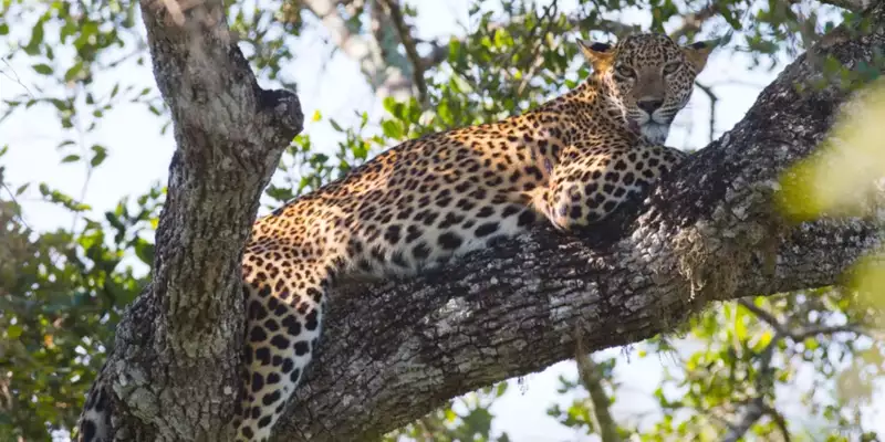 Sri Lankas Highlights erwandern - Bild 5